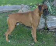 Garret_08_005__Large_.jpg