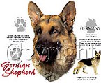 Ads/germanshepherd.jpg