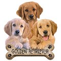 Ads/goldenbone.jpg
