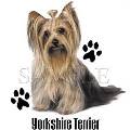 Ads/yorkshireterrier_dark.jpg