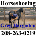 GregShoe.jpg
